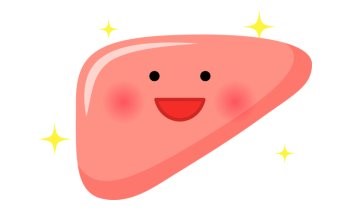肝臓